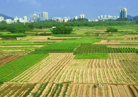 湖北省处置闲置土地17.81万亩&nbsp;&nbsp;收回面积居全国第一