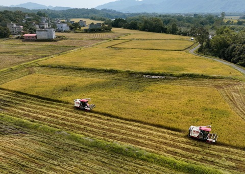 防城港市发挥“土地综合整治+”效应&nbsp;&nbsp;激发乡村振兴活力