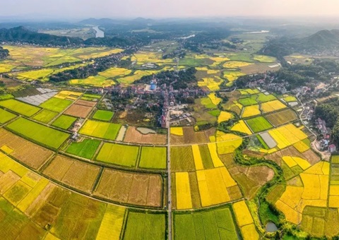 湖南省自然资源厅公布一批乡村振兴用地保障范例