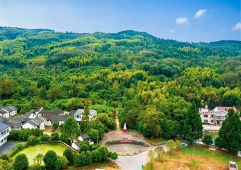 湖北首本“实景三维影像模型”林权不动产权证书在咸宁颁发