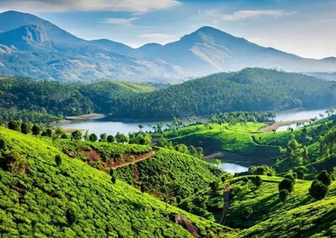 陕西在全国率先建立省级自然资源领域生态保护纵向综合补偿机制