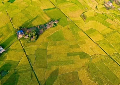 四川省启动永久基本农田储备区补充更新工作