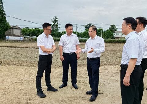 胡云赴眉山调研耕地保护利用和高标准农田建设工作