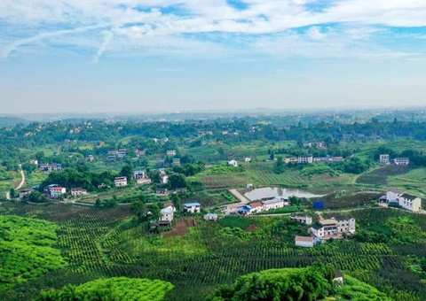 2024年度四川省重点区域自然资源统一确权登记项目启动