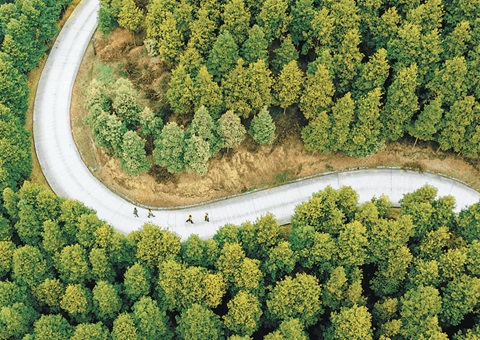 重庆市全面深化林权登记制度改革 &nbsp;&nbsp; 助力林地“绿色资源”向百姓“金色财富”转变