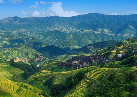 一次性200万元！&nbsp;广西在全国率先实行林权登记财政资金激励