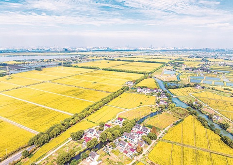 江苏省全面实行用地用林合并审批