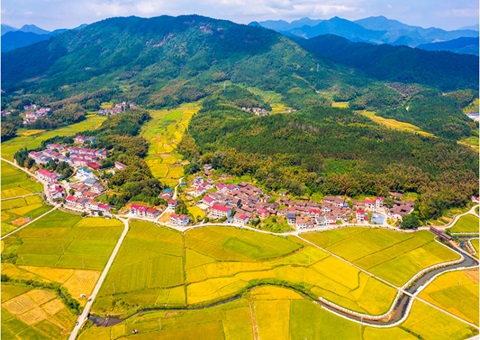 探索农村“土味”生金路——聚焦福建省“农地入市”试点工作