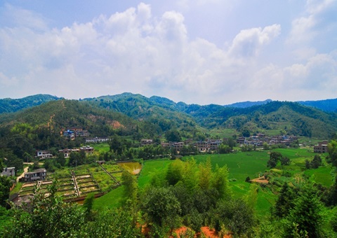 江西省赣州市石城县：紧扣“三提三用”工作主线 锻造自然资源铁军