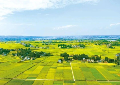 四川省眉山市局“三措并举”提升储备土地管理效能 筑牢高质量发展土地要素保障