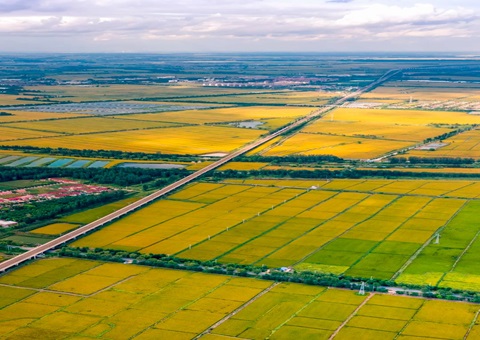 辽宁省盘锦市自然资源局完成辽河油田2023年石油钻井及配套设施项目占用永久基本农田补划地块验收工作