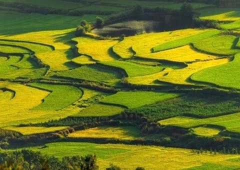 四川发布第二批重大项目节地案例 推动土地资源高效集约利用