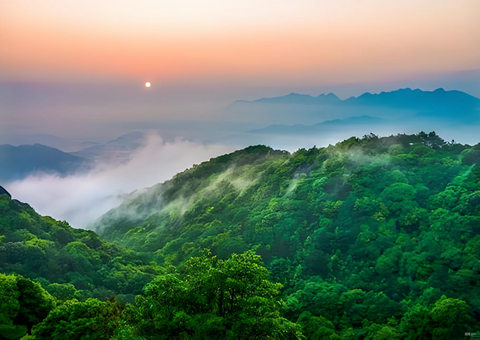 福建森林提质四大举措打造百姓“幸福靠山”