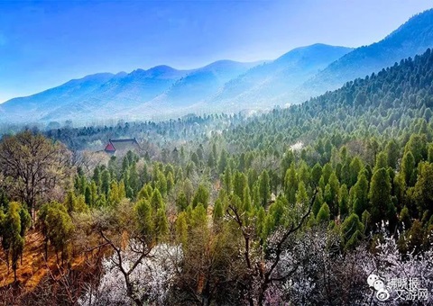 安徽宿州探索场村合作共建防护林网