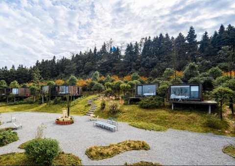 全国典型案例+1！重庆探索“四方共治”实现生态修复与增收共赢