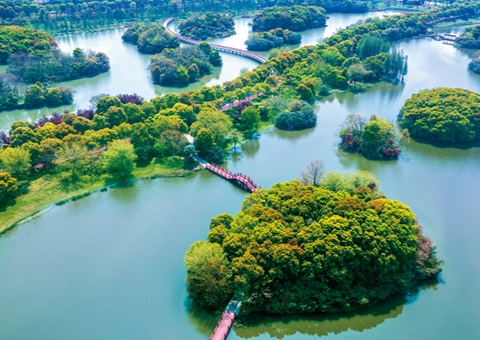 江西省湿地保护率已达61.99%