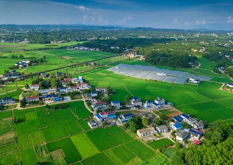 湖南：靶向发力盘活存量土地资产<br>为206家机关企事业单位定制处置方案，盘活土地2.6万亩