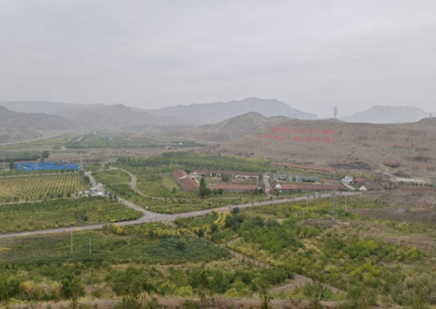 宁夏持续拉动“三山”生态保护修复“进度条”