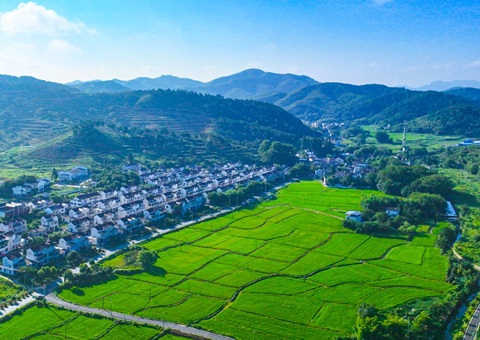 安徽推动构建城乡统一建设用地市场&nbsp;&nbsp;要素保障多点发力“激活”乡村振兴
