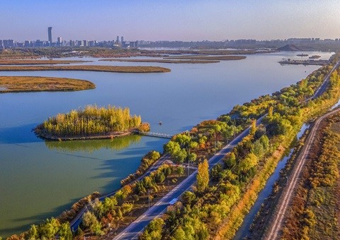 宁夏首次发布全域生态资源本底调查报告