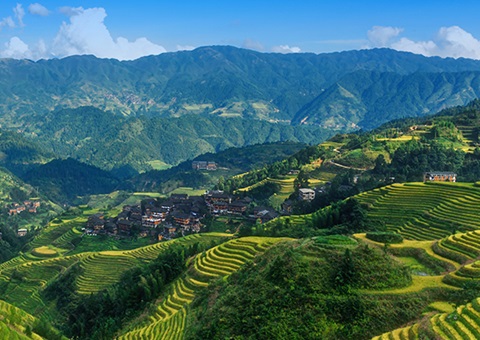 补助200万元！广西实行林权登记财政资金激励