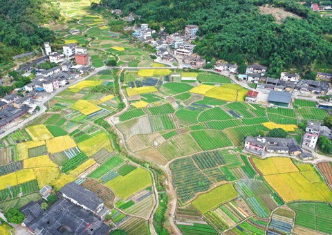 94宗千余亩用地入市 带动投资超28亿元 泉州“集建入市”试点工作取得阶段性成效
