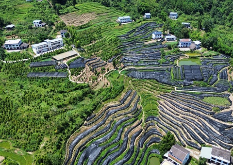 重庆首个林业生态产品价值核算成果应用落地