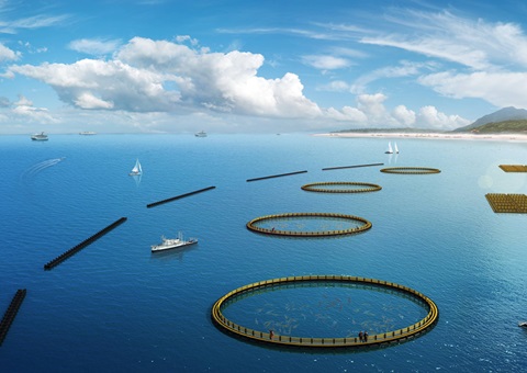 广东加快培育壮大现代海洋产业