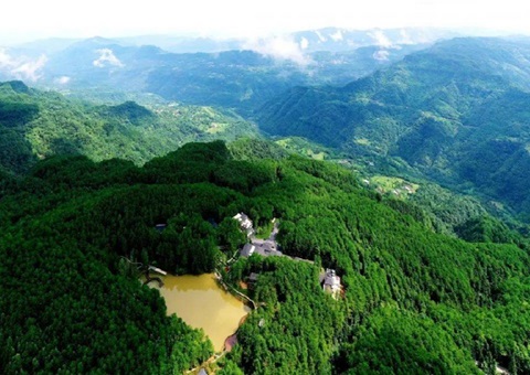 四川政银合作赋能“天府森林四库”建设