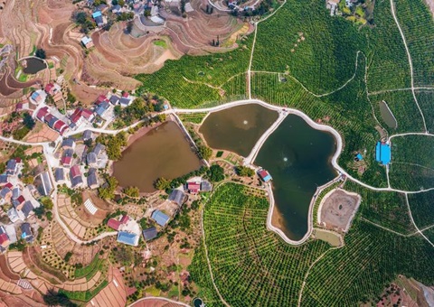 农发行重庆市分行：投放全市首笔全域土地综合整治贷款