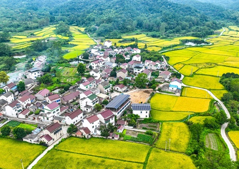 安徽省自然资源厅：130个乡镇耕地保护成绩突出 获补偿激励1.3亿元