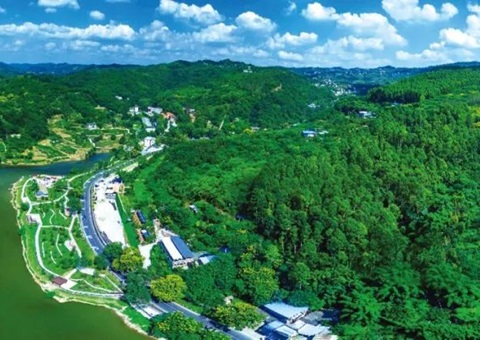 保障重大项目加速落地！成都市构建用地用林联动审查机制