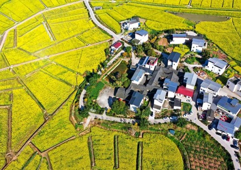 四川将对乡村旅游项目用地应保尽保