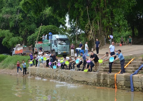 落实重大工程生态补偿！79万尾鱼苗“安家”龙州左江湿地