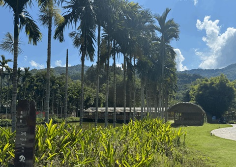 海南探索村庄规划赋能： 用产业“串”起和美乡村“幸福链”