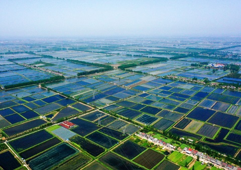 湖北潜江规范产权交易&nbsp;&nbsp;滩田身价翻7倍