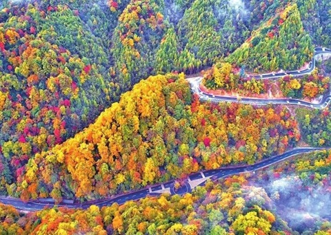 联合国教科文组织专家对巴中光雾山—诺水河世界地质公园开展再评估工作