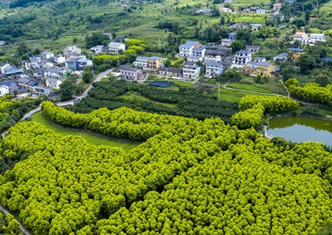 重庆乡村休闲旅游形成点线面立体式发展&nbsp;&nbsp;建设全国休闲农业重点县8个、中国美丽休闲乡村90个