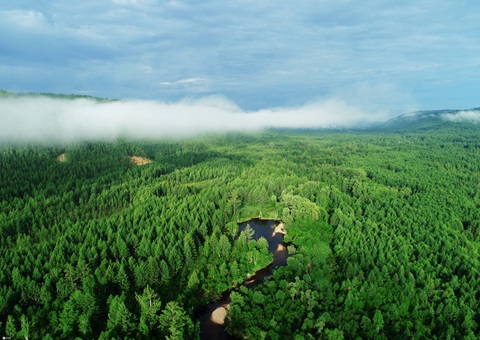 湖北首个大型活动碳中和指导意见发布