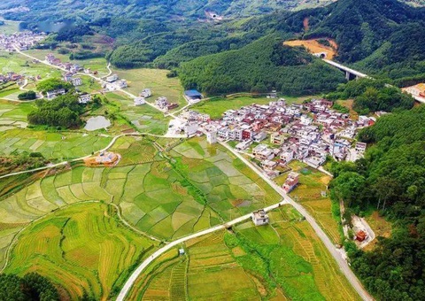 南宁创新“菜单式”服务   数智赋能设施农用地高效备案