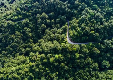 湖南省首例！靖州“国有建设用地+VEP”自然资源资产组合项目实现交易
