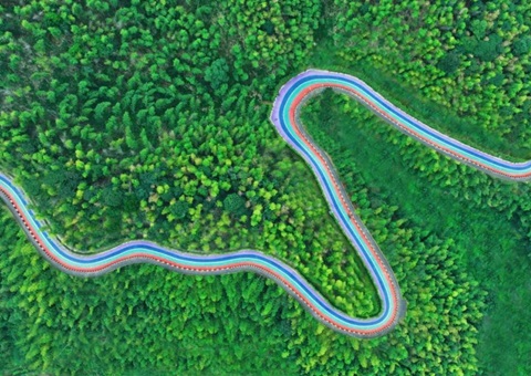 组合供应出新招，竹海收益节节高——桃江县“桃花江竹海”自然资源资产组合供应推动生态产品价值实现案例