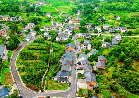 上半年重庆农村集体经营性总收入突破26.55亿元&nbsp;&nbsp;村均收入29.13万元