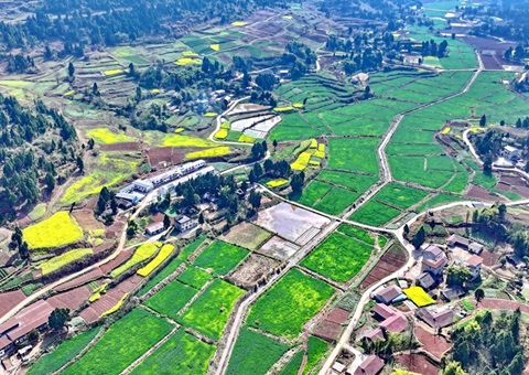 四川省全面推进耕地林地园地空间治理“一张图”建设