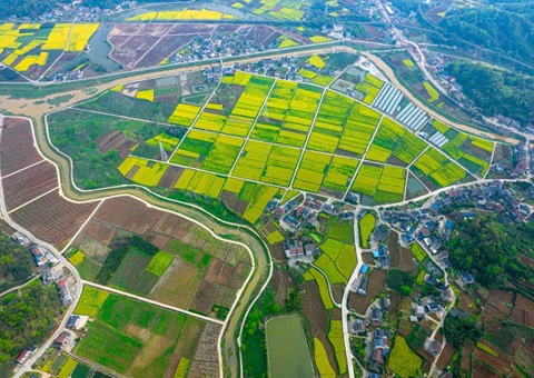 湖北省自然资源厅保障重点农业产业链高质量发展