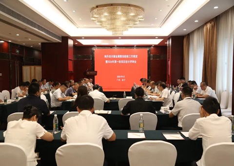 实施三大类10个项目！广西自然资源厅部署推进南丹关键金属矿产整装勘查