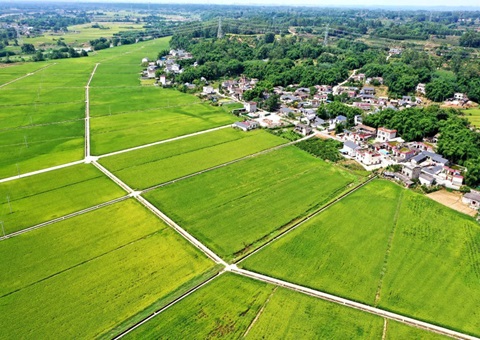 四川建成永久基本农田监测监管系统&nbsp;&nbsp;率先实现同国家级系统对接与跨部门数据共享