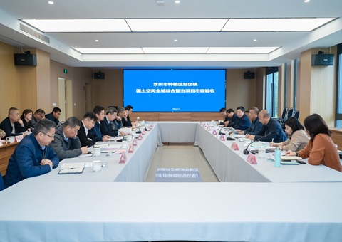 江苏省首个国土空间全域整治项目圆满通过整体验收