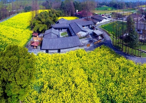 成都出台政策：城镇居民不得购买农村宅基地和住房