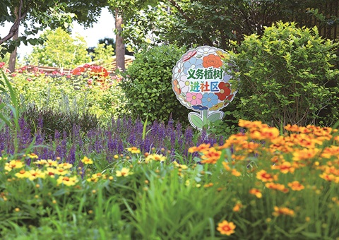 北京以微花园打造生态共治共享样板